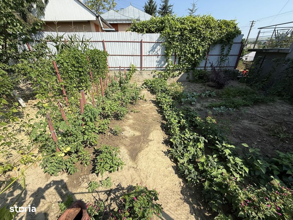Casa central, Podu Iloaiei, la strada