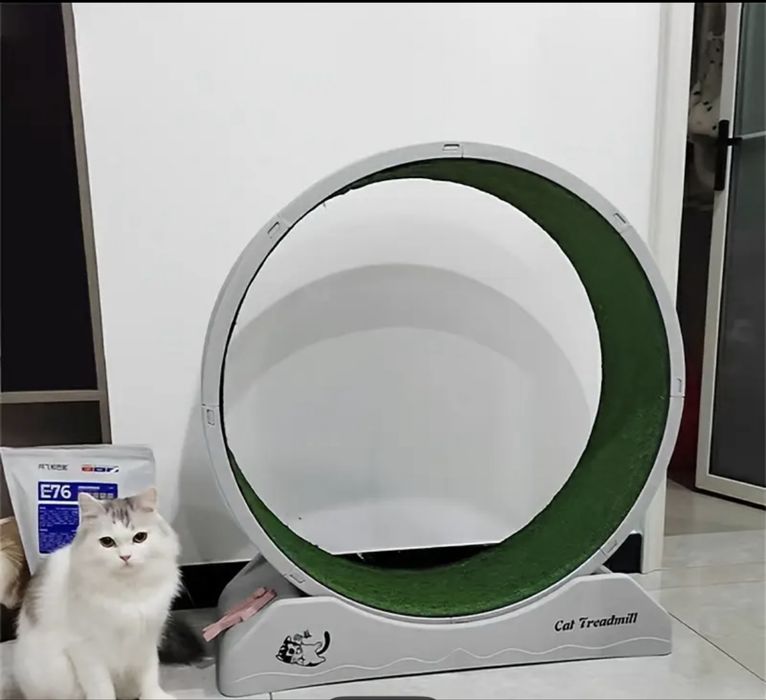 Фитнес на котки- въртящо се колело