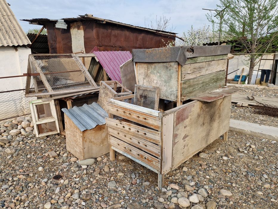 Кролятник и цыплятник