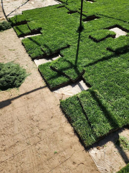 Газон Дания, Оптом ⁸⁸ от 40000 до 45000 сум с поля