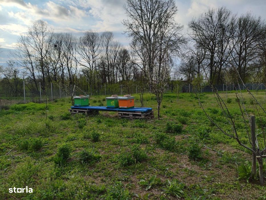 Casa si depozit materiale constructii( 35 km de Bucuresti)