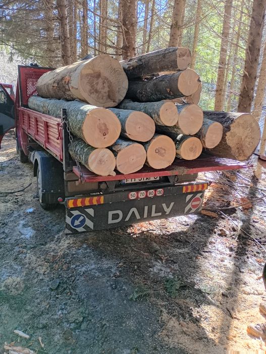 Lemne de fag pentru foc