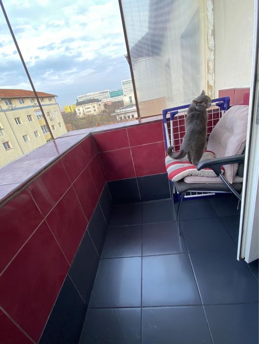 proprietar închiriez apartament 3 camere zona Torontalului Iulius Mall