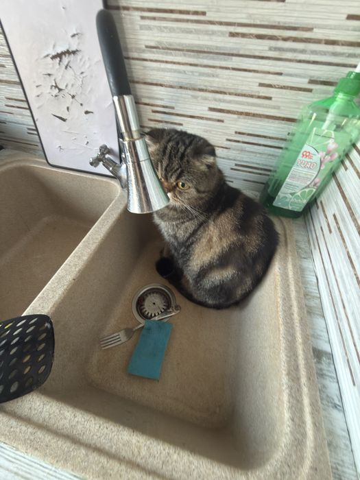 iPhone 11 в идеальном состоянии