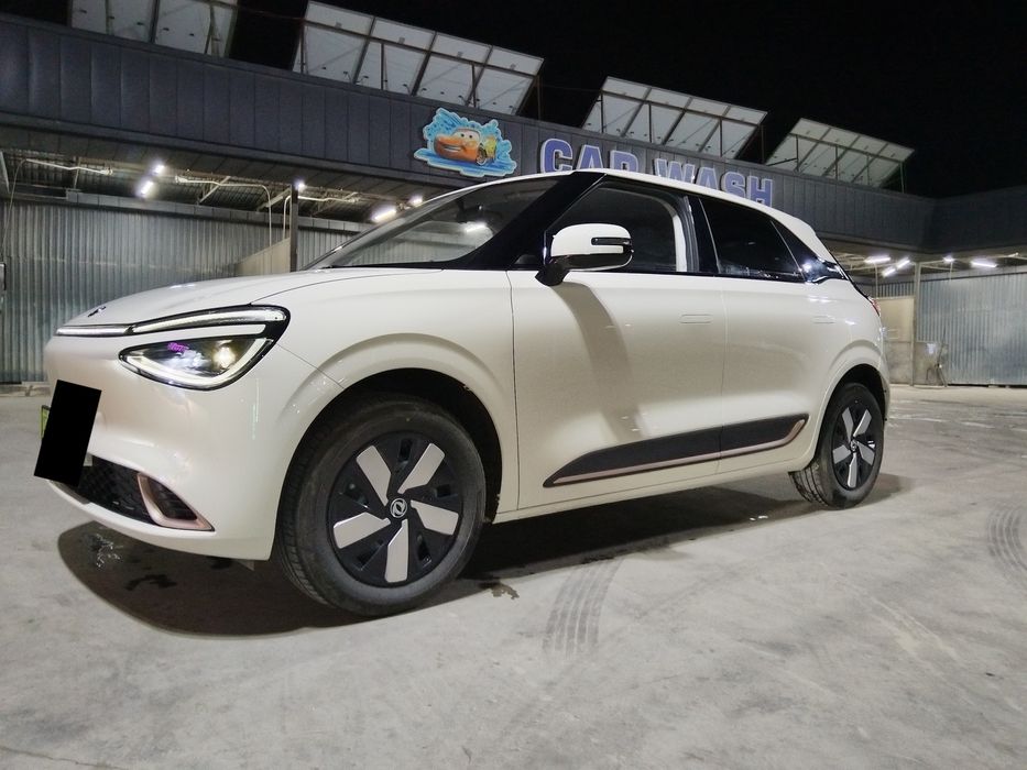 Dongfeng nammi 01
