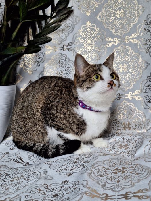 Только самым ответственным