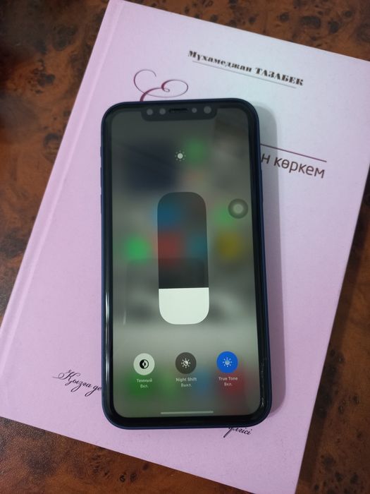 iPhone 17 pro (XR) сатылады
