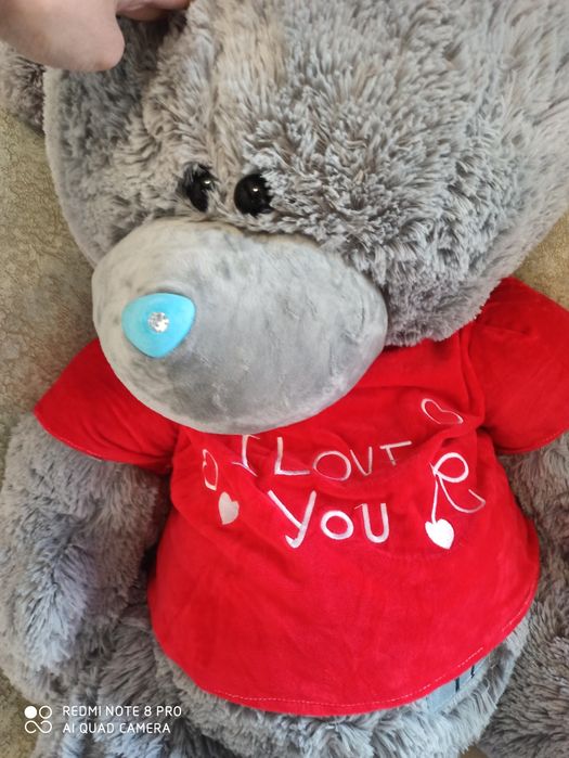 Teddy ойинчок янги биркаси билан