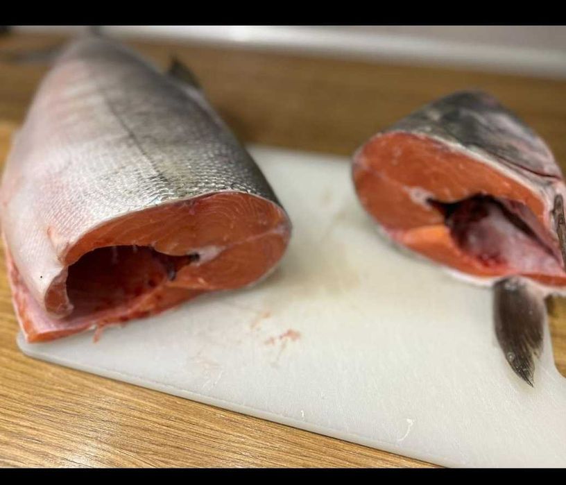 Рыба кета продажа