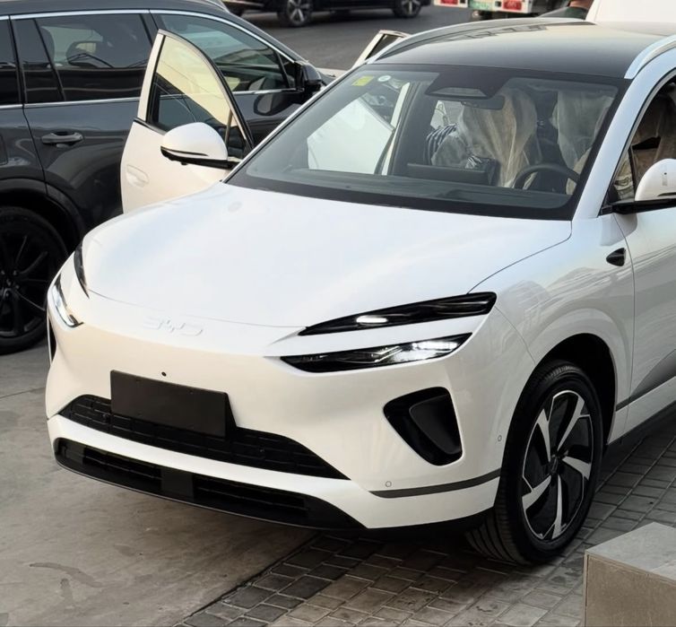 Sea lion 06 от Byd