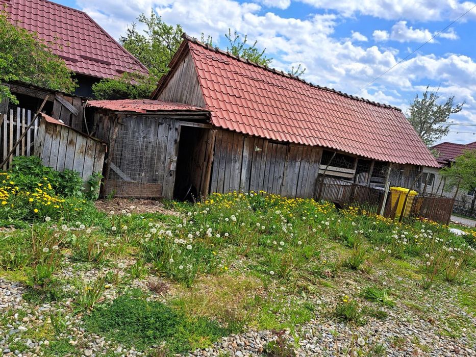 Casă cu teren 2.200 mp și anexe gospodărești – Stupini, Sânmihaiu de Câmpie, Bistrița-Năsăud