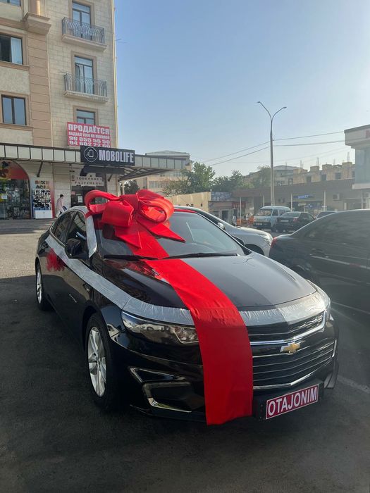 Бант бантик автобантик лента bantik avtobantik МЕД ГОРОДОК