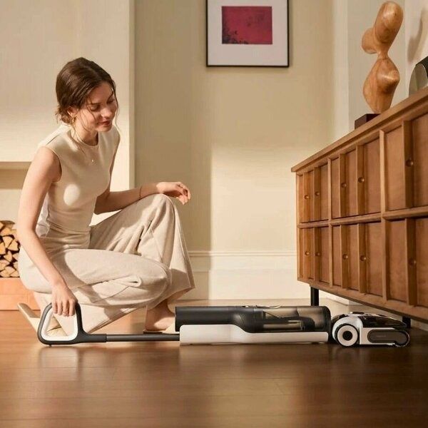 Пылесос Roborock F25 ALT (WD5M4A), Black