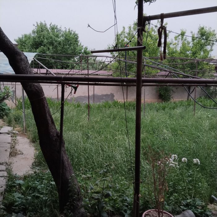 Yer sotiladi 3 sotix