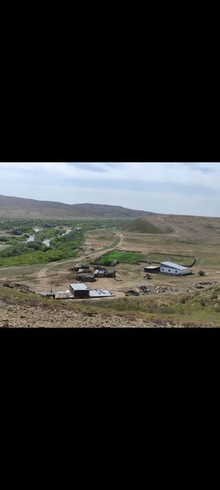 Ауыл шаруашылығы сатылады.