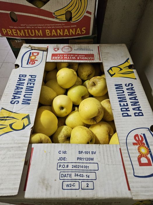 Mere Ionared, Golden, Ionagold, Florina, Starkrimson