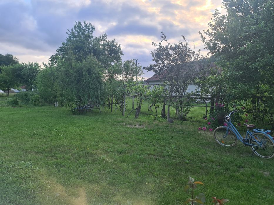 Vand casa cu gradina