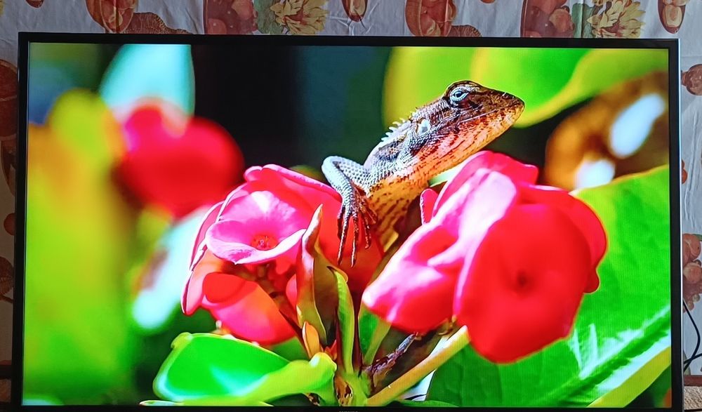 Artel 50 сотилади.