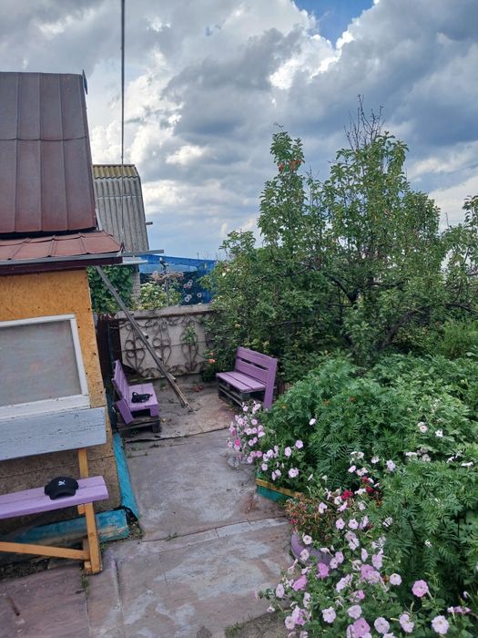 Продам дачу с насаждением