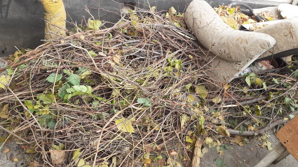 Продаю окны диван дрова