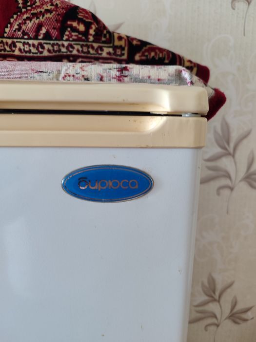 =Biryusa= Muzlatgich