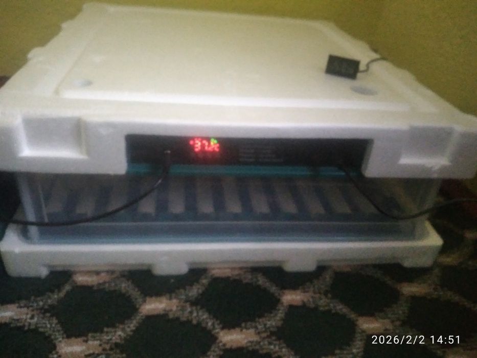 Инкубатор сотилади