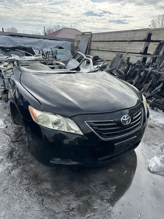 Разбор семей тоета