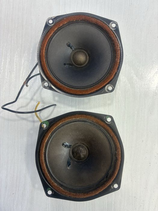 Tesla ARV 161 пищалки