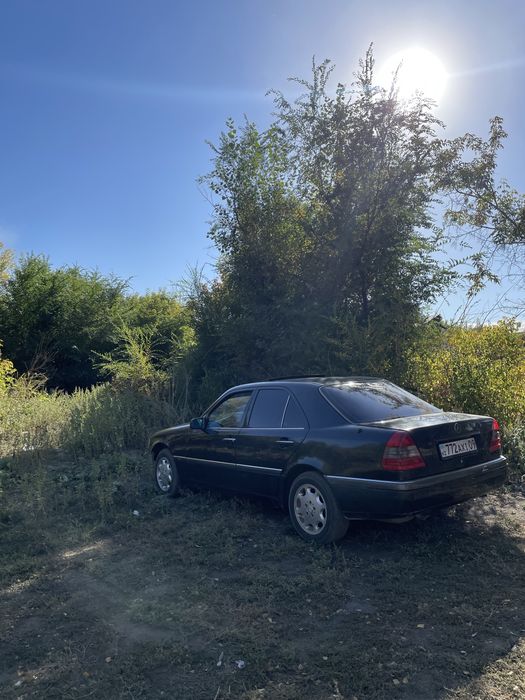 mersedes benz w 202