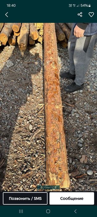 Продам деловой кругляг