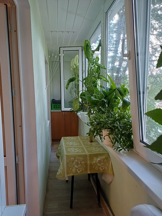 Продам 1 комнатную квартиру