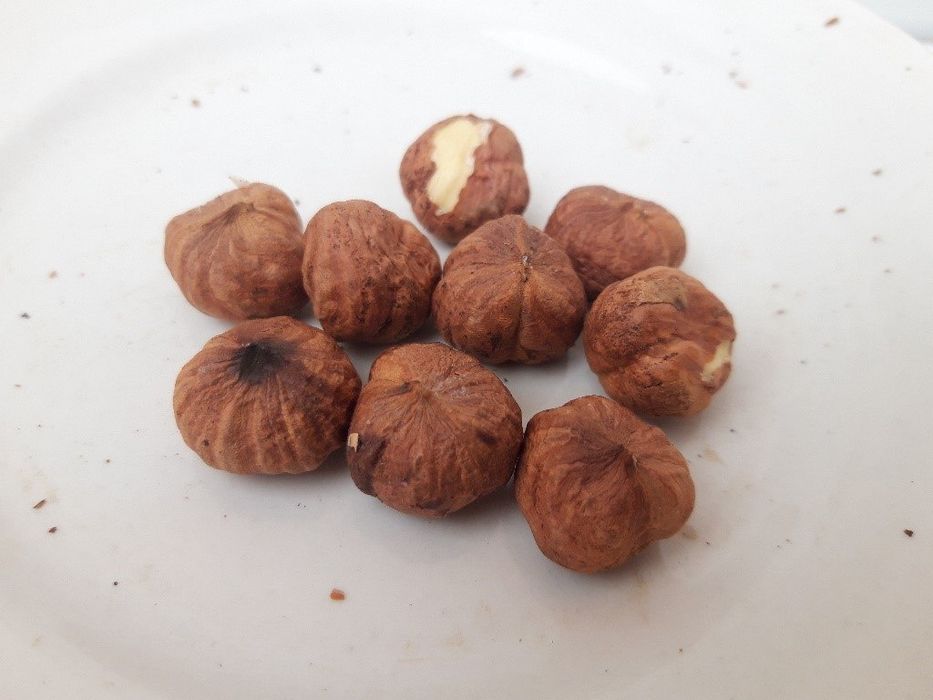 Funduk yong'og'i (фундук е'нгоги) ko'chatlari sotiladi,1 yoshdan 4 yos