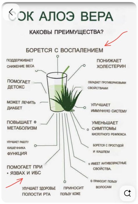 Алоэ классический напиток