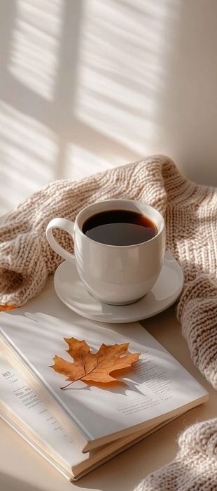 Kotyol sotiladi 5xonani isitadi