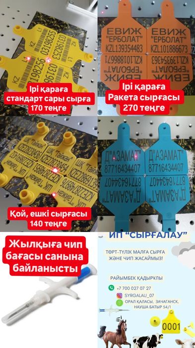 ВКонтакте желісіндегі жалаңаш қарт ерлер мен әйелдердің суреттері