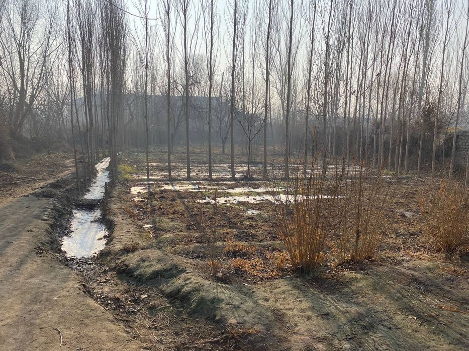 Uy sotiladi furqat tumanida 7 xona uyi bilan 16 sotik dakumenti joyida