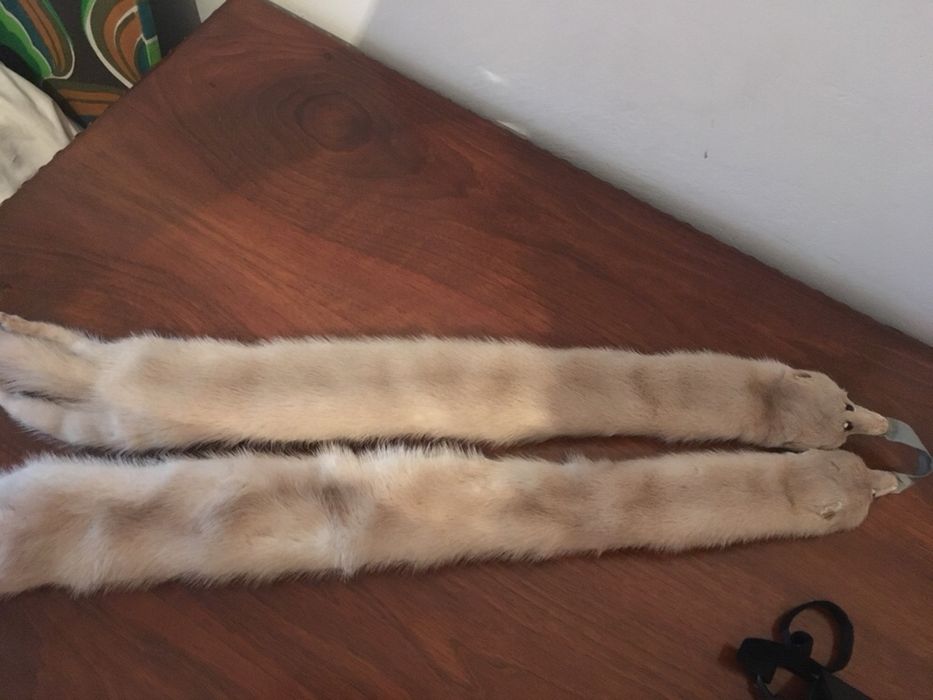 Gulere vulpe polara si nurci argintii