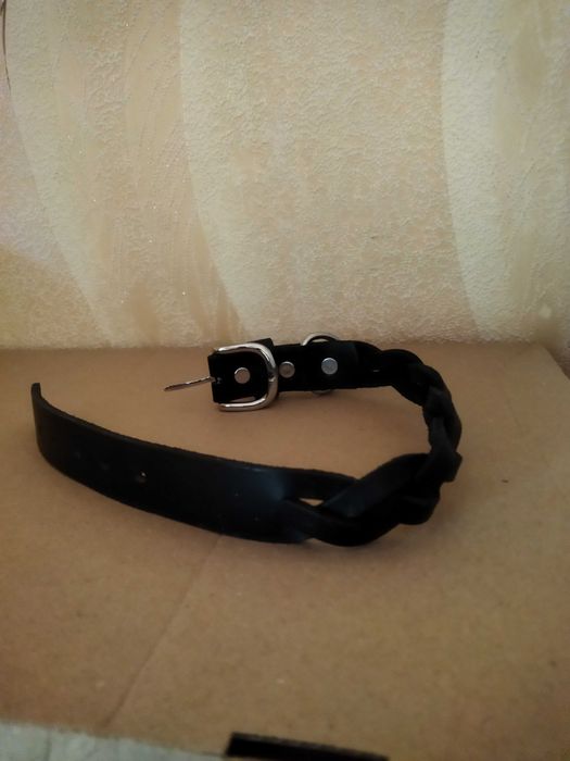 Ошейник для собак