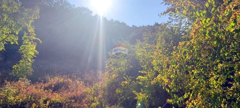 УПИ, м-ст Манастирски Рид, кв. Виница, гр. Варна, ТМ