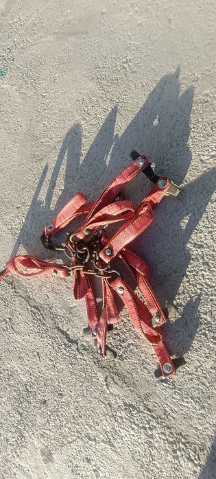 Тұсау сатылады (Жылқыға)