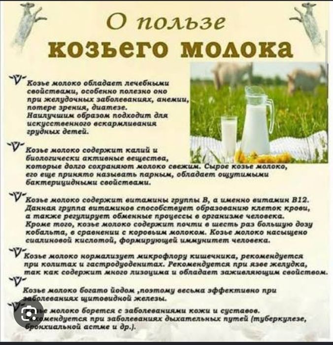 Молоко альписких коз