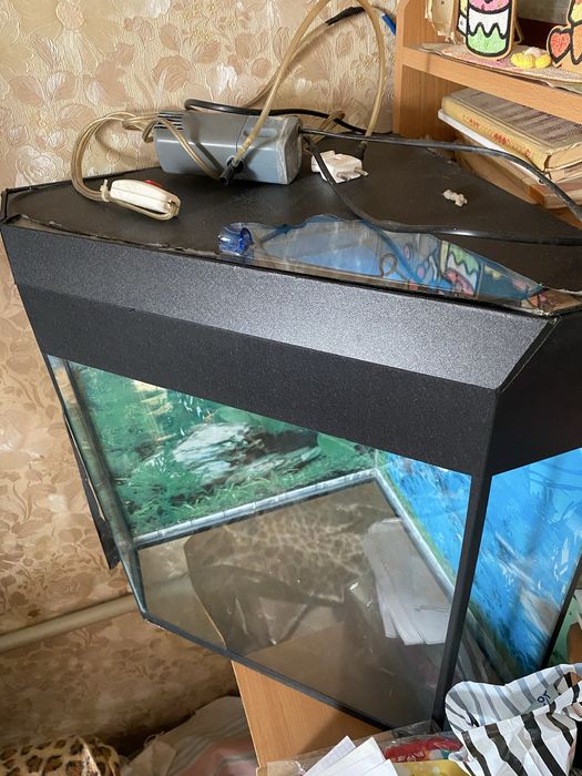 Продаю аквариум