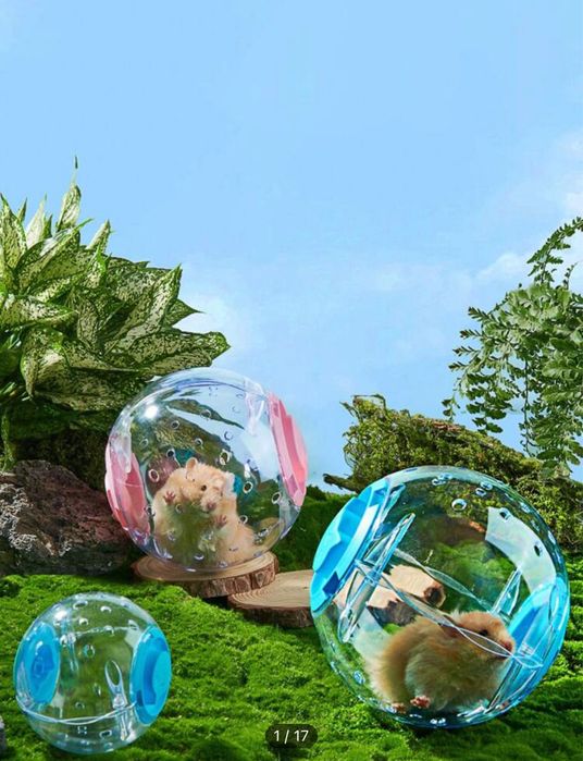 Сет аксесоари за хамстер