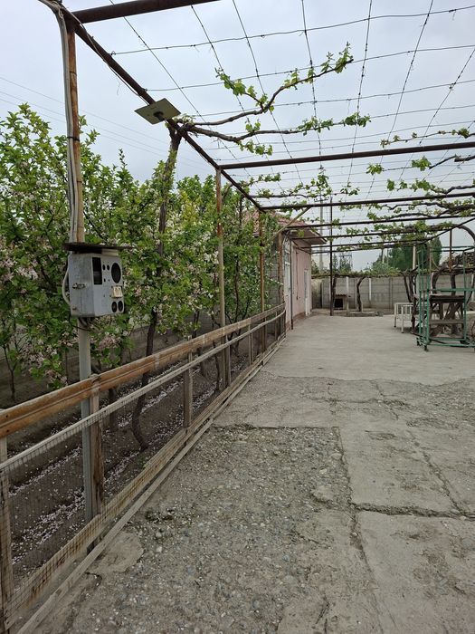 Ёрмазорда 3 та 9 сотихлик участка. Катедж куриб сотувчилар учун аъло и