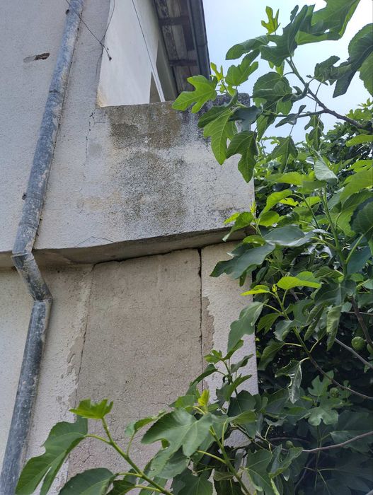 Продава се Къща в Бургас, Братя Миладинови - 123456 кв.м за 1 €/кв.м - Снимка #4