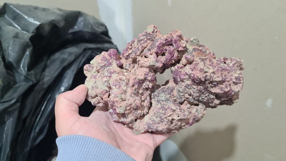 Piatra (Roca) marina Caribsea