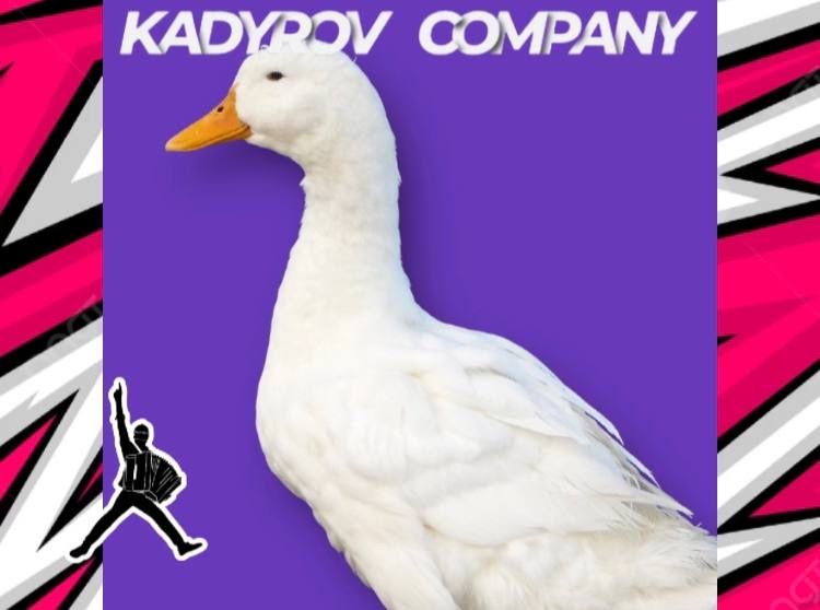 Купите инкубационные яйца уток из России и развивайте бизнес!