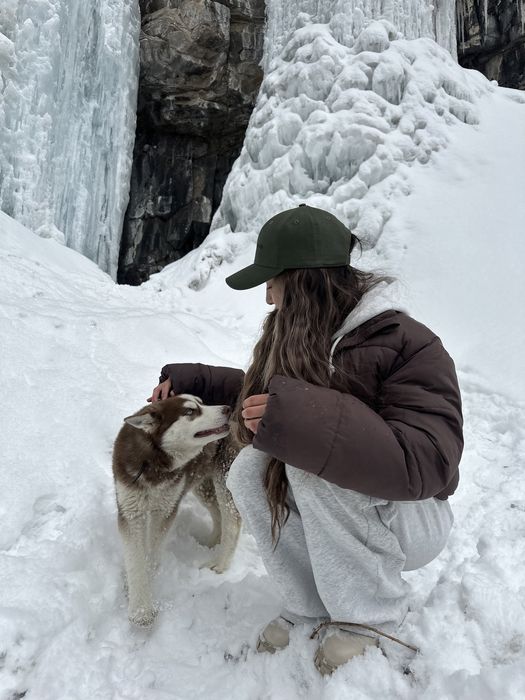 Сибирская хаски рыжая