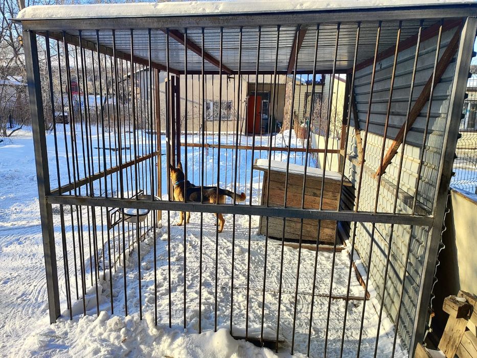 Вольер для собаки