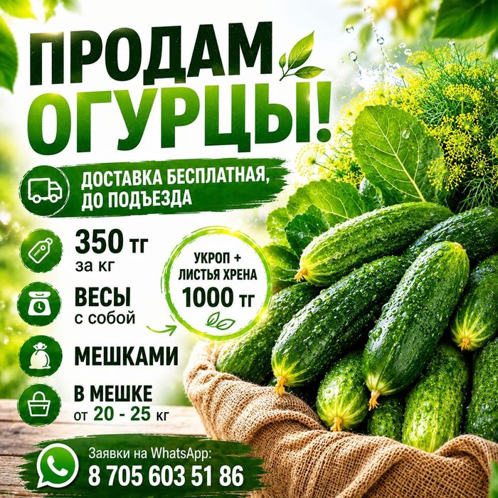 Огурцы для засолки